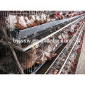 Cages de poulets à batterie pour poulet au poulet et poulets de chair